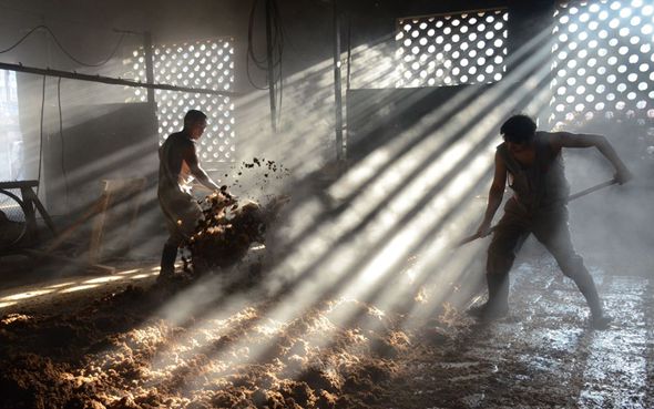 1516700708667043295.jpg 1516700708667043295.jpg