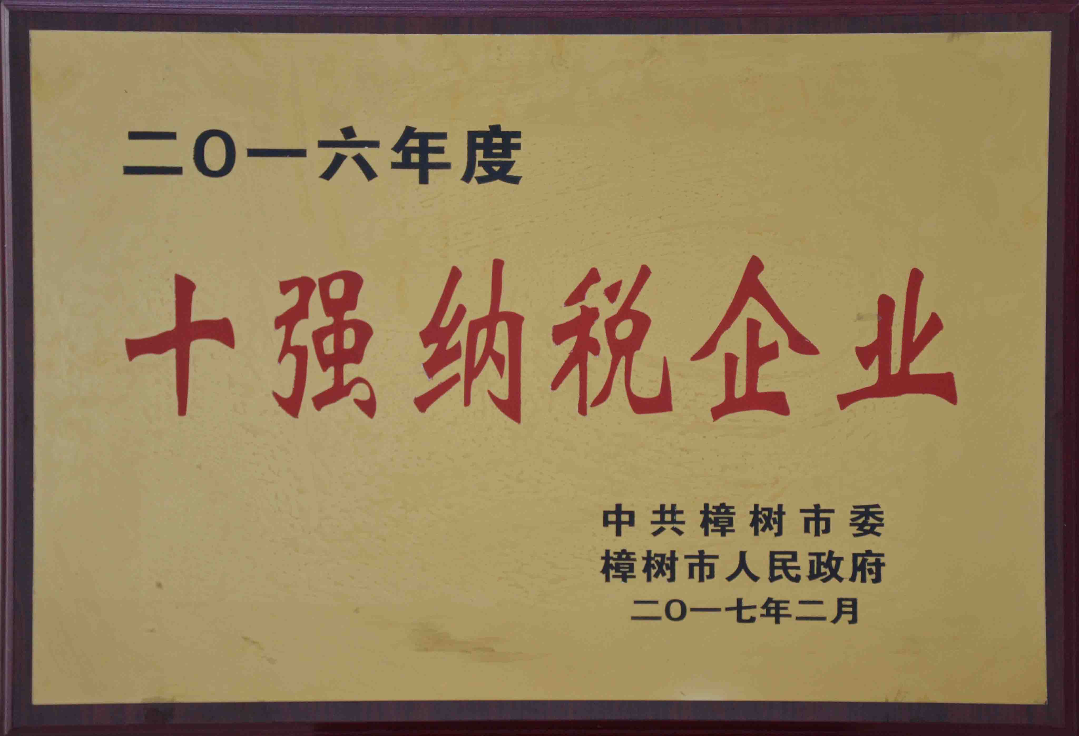 2016年度十強納稅企業(yè)
