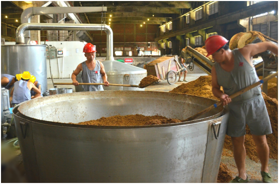 1554963339556046446.jpg 1554963207(1).jpg